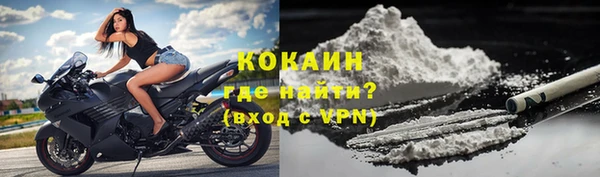 ГАЛЛЮЦИНОГЕННЫЕ ГРИБЫ Богданович