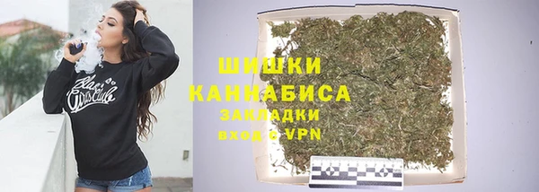 гашик Богородск