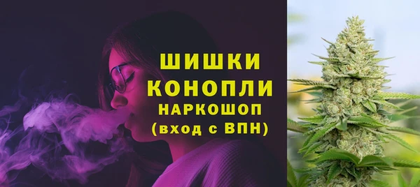 прущие грибы Богородицк