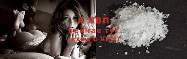 ГАЛЛЮЦИНОГЕННЫЕ ГРИБЫ Богданович