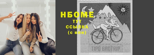 гашик Богородск