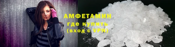 прущие грибы Богородицк