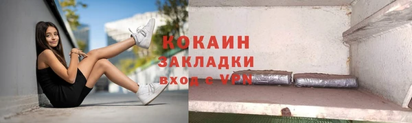 прущие грибы Богородицк