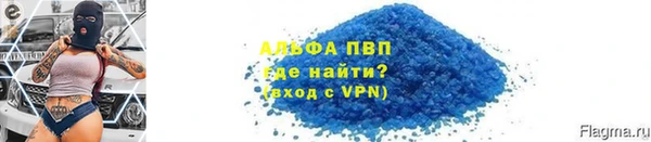 прущие грибы Богородицк