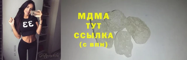 прущие грибы Богородицк