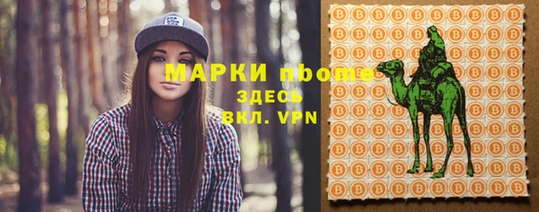 прущие грибы Богородицк