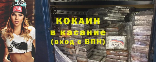 прущие грибы Богородицк