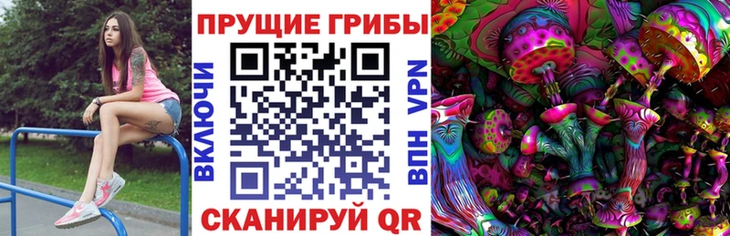 Купить закладки  Салаир  Псилоцибиновые грибы ЛСД 